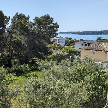 Villa Pura Vida With Sea View プーラ エクステリア 写真